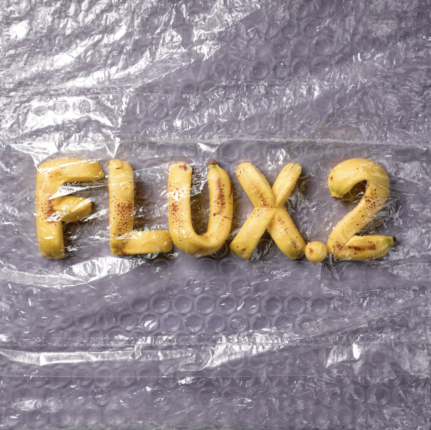 Flux2 Flex preview
